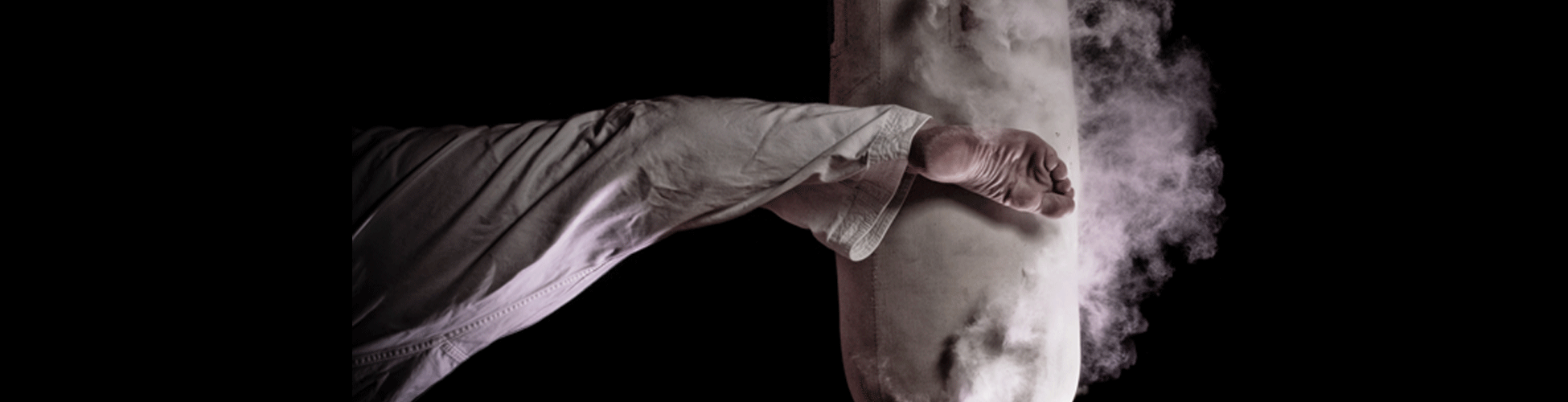 Slider Kyokushin 2